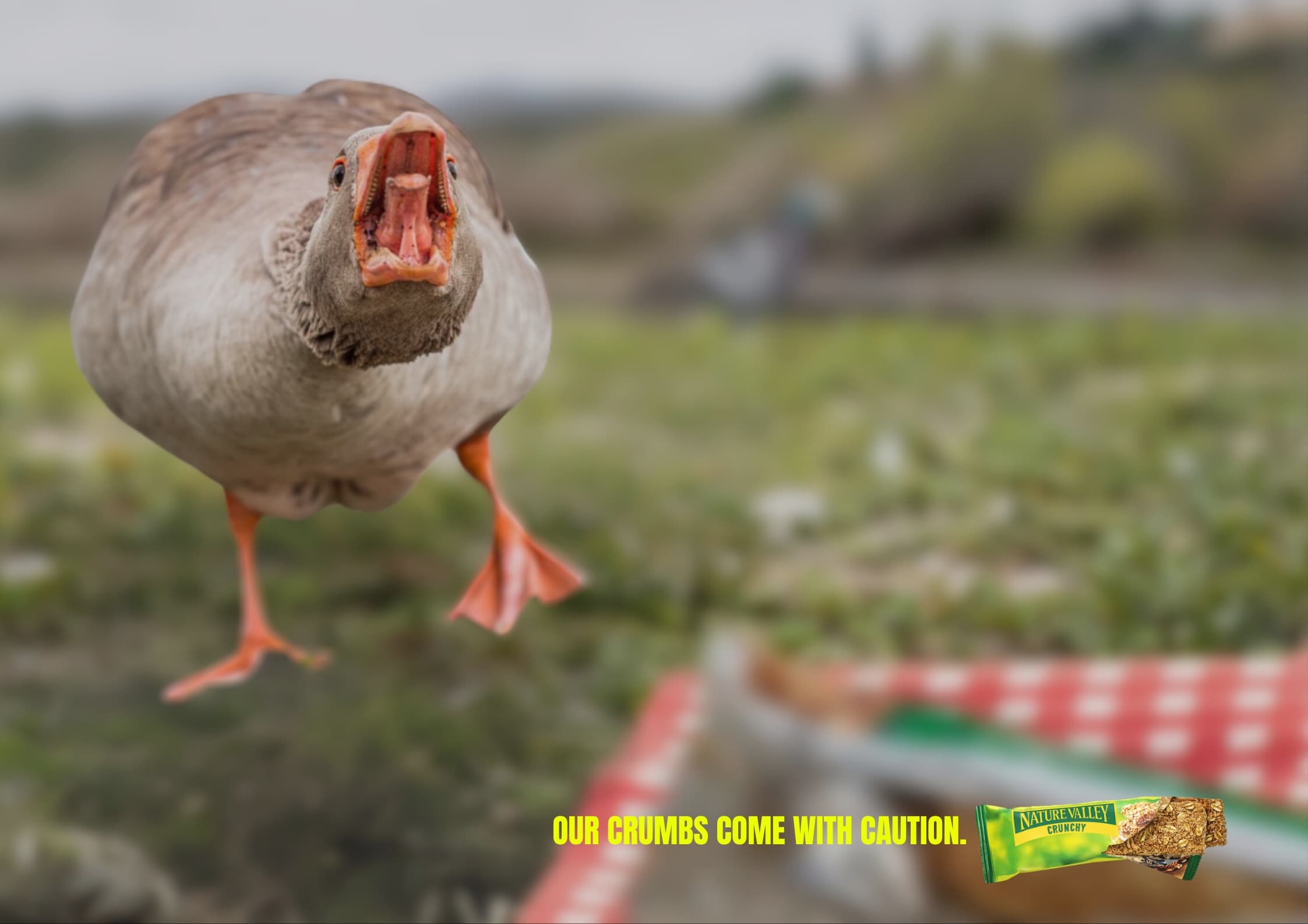 Nature Valley cover image 2